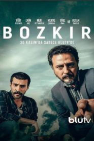 ver bozkir online