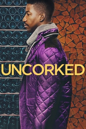 
Uncorked (2020)