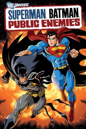 Superman/Batman: Enemigos Publicos (2009)
Superman/Batman: Enemigos Publicos (2009)