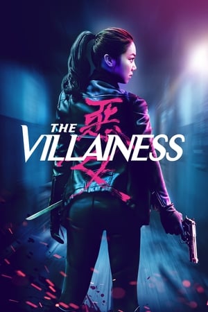 
The Villainess (2017)