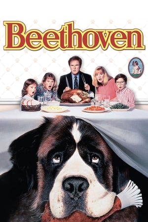 
Beethoven, uno más de la familia (1992)