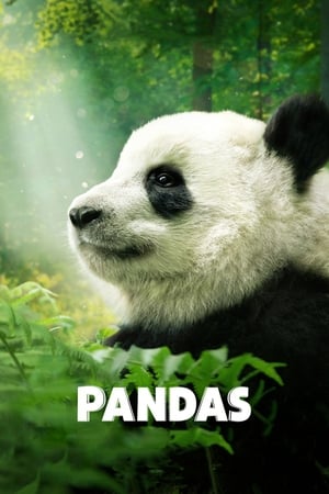 
Pandas: El Camino a Casa (2018)