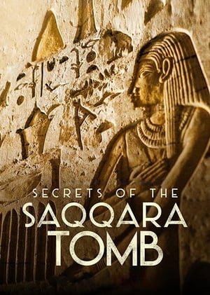 
Los secretos de la tumba de Saqqara (2020)
