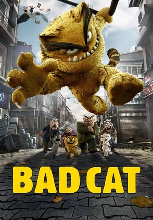 Bad Cat Serafettin (2016) 
Bad Cat Serafettin (2016)