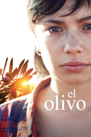 
El olivo (2016)