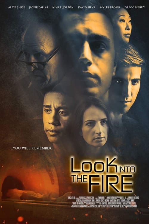 Look Into the Fire Look Into the Fire